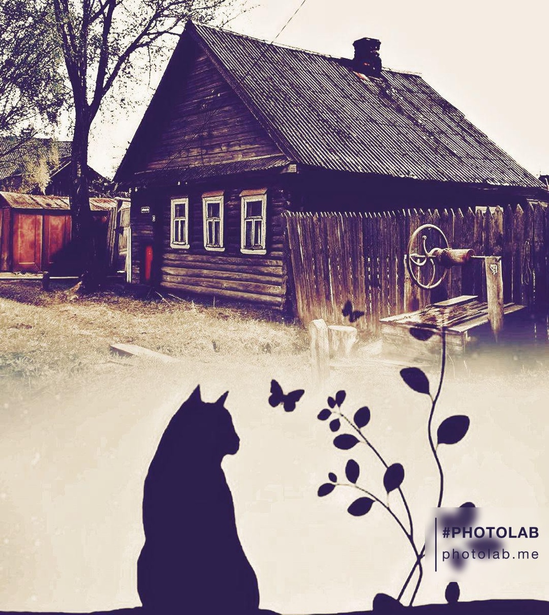 Фотоколлаж автора статьи 