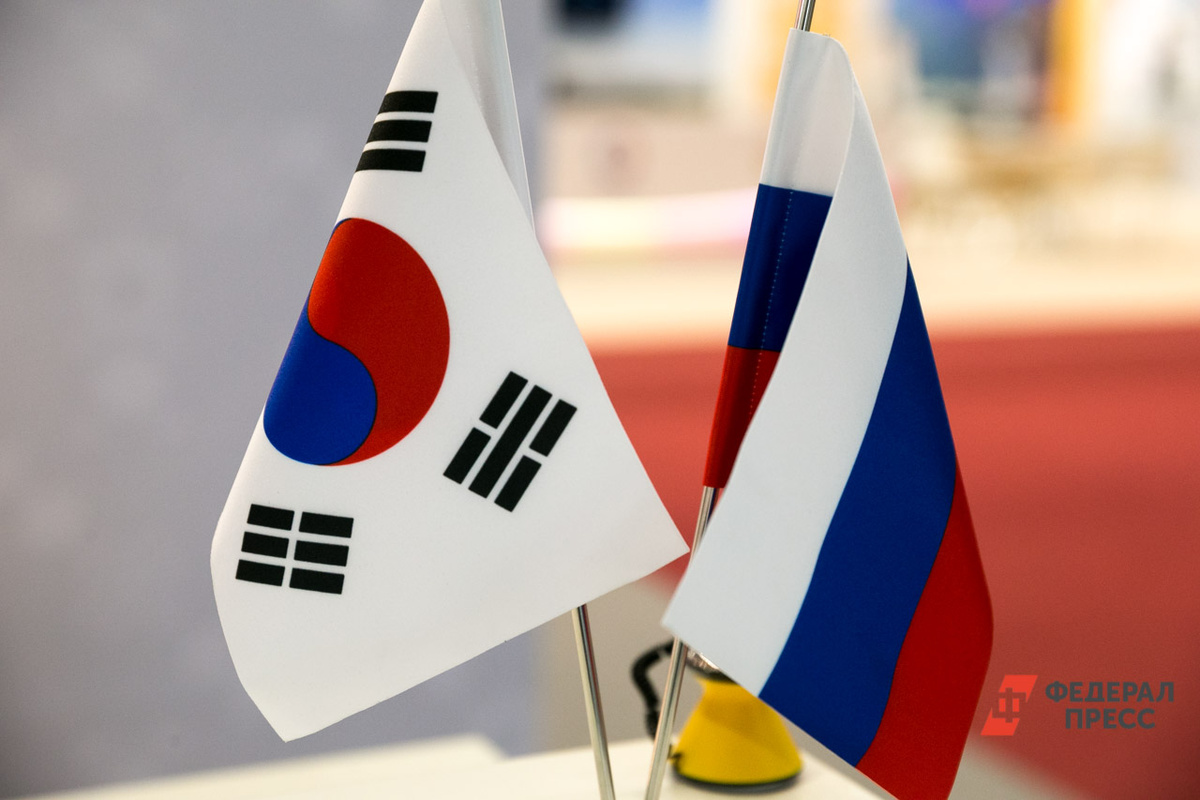 Южная Корея упрощает экспорт в Россию.  Фото: Фото: ФедералПресс / Евгений Поторочин