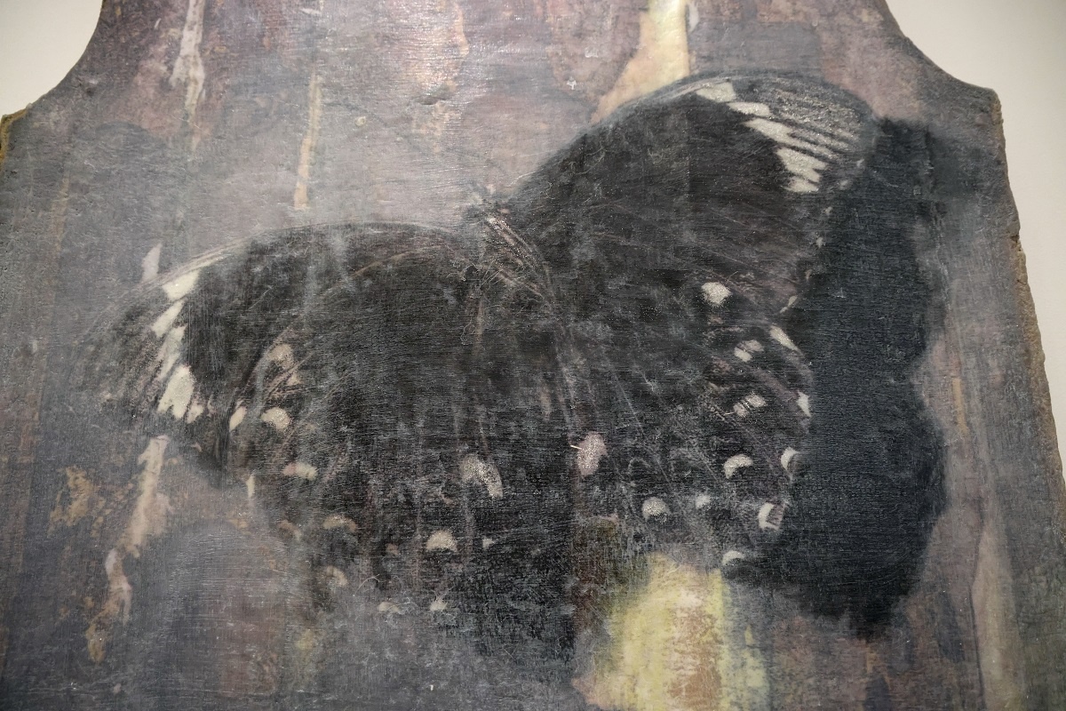    Выставка "Сфумато" в Пакгаузах