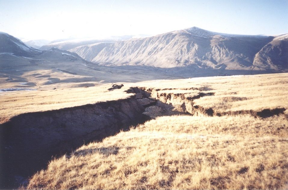 Фото: Софья Платонова