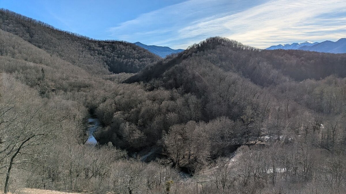    Фото: телеканал «Краснодар»