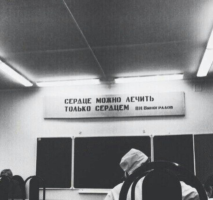 Цитата Владимира Никитича Виноградова можно встретить в кабинетах медицинских университетов