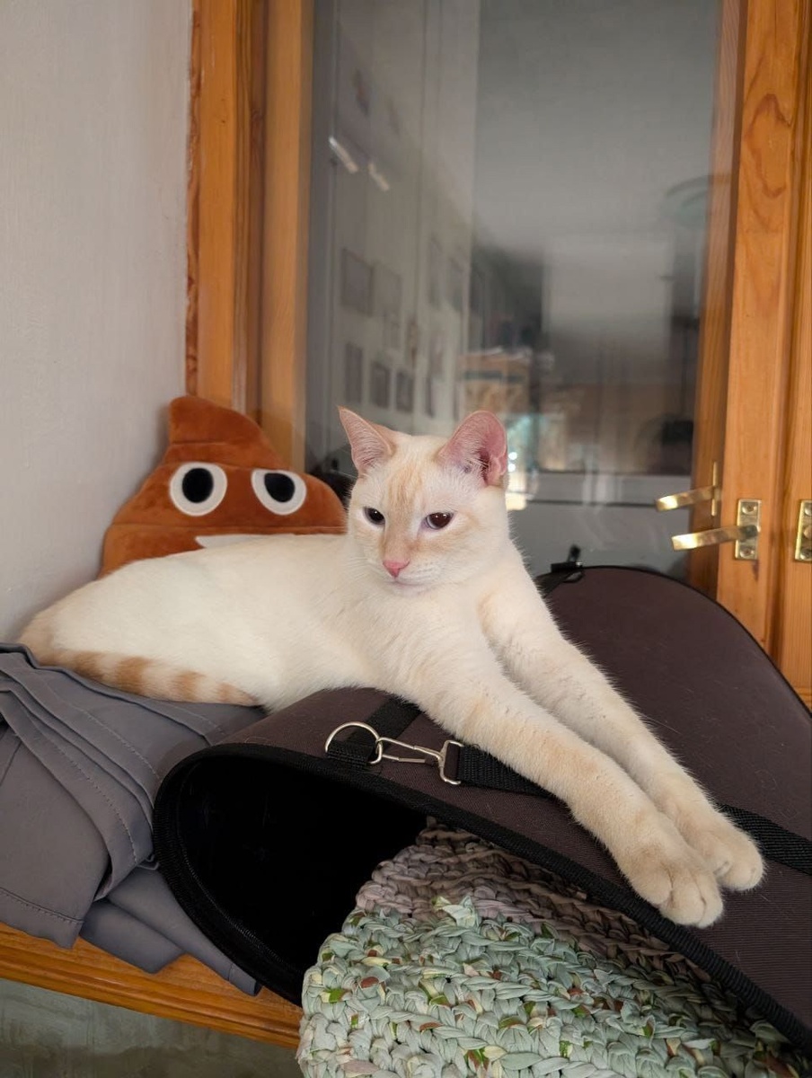 Наслаждается своей жизнью!