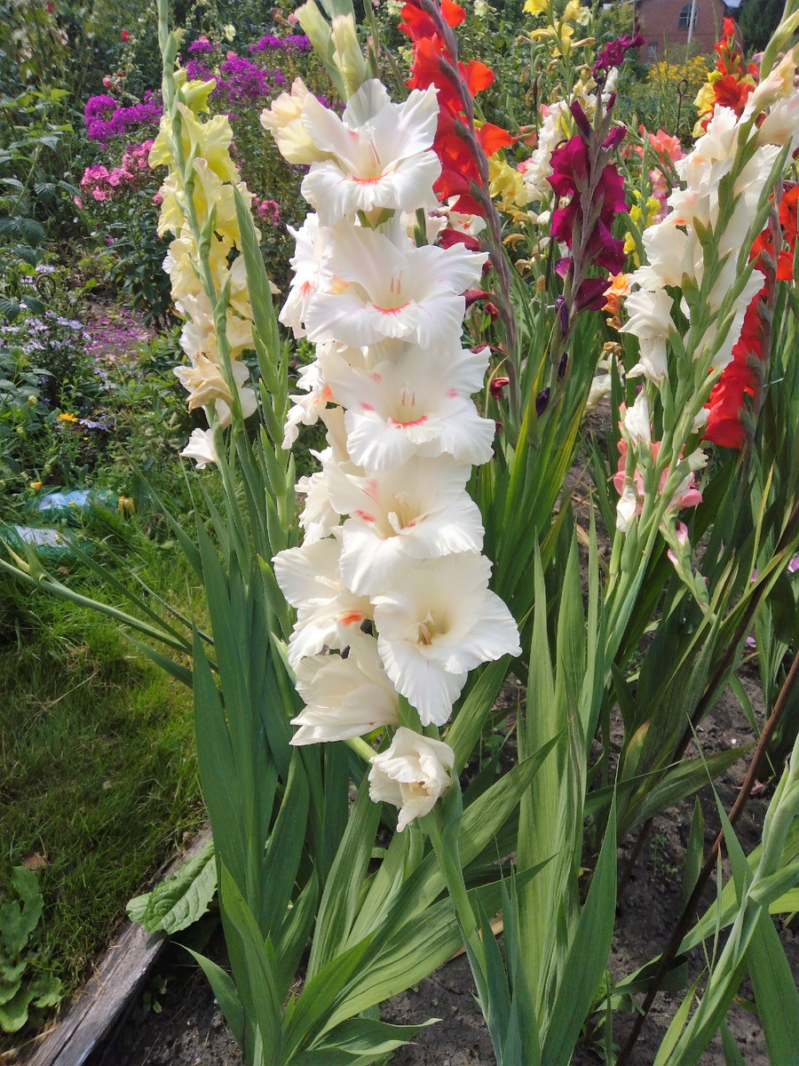 Одно из фото