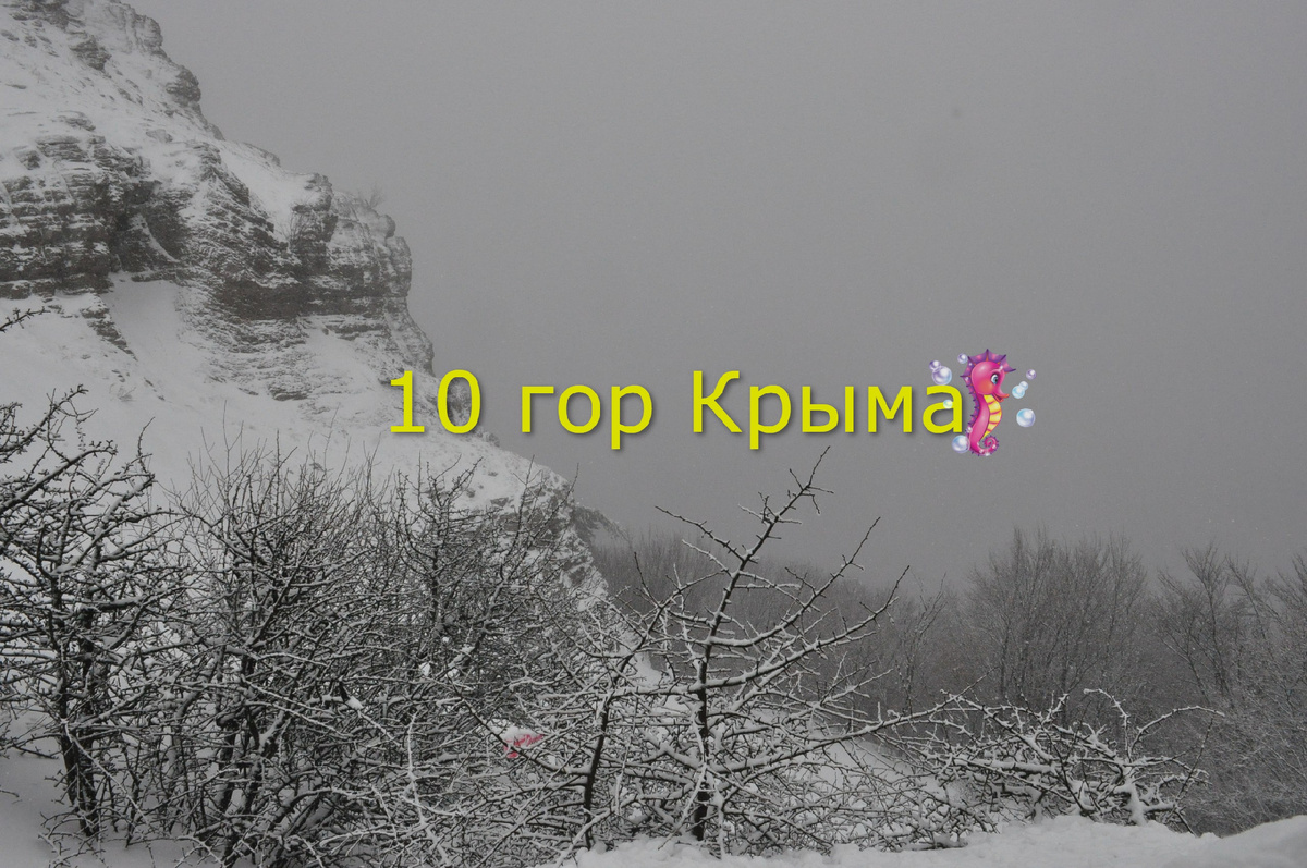 Фото автора канала