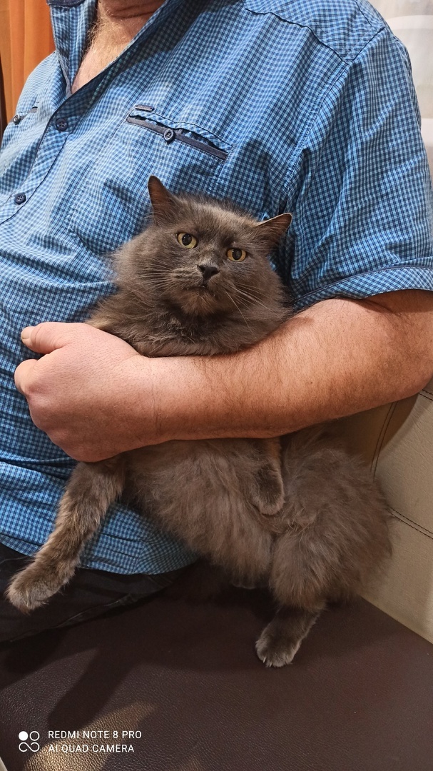 не успел убежать)