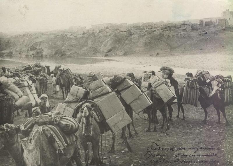 Фотография ч/б. Перевозка почты на верблюдах на тракте Гузар - Дюшанбе. 1925.
