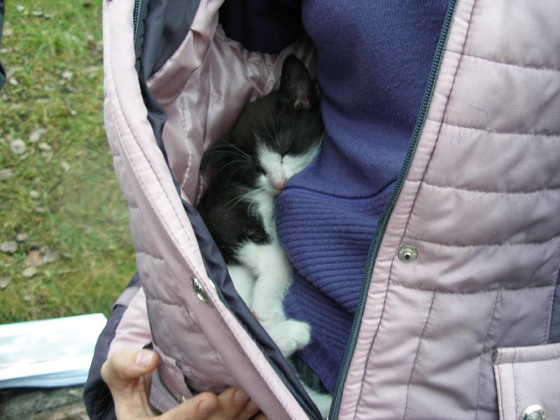 фото из интернета.