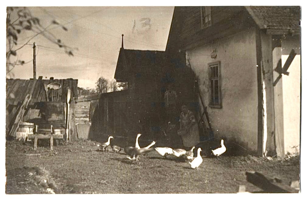 Село Сольцы, дом Либерта Я.И. 1921 год. Дом одноэтажный, оштукатуренный, побеленный. Хозяйка у крыльца кормит гусей. Рядом находится небольшой деревянный сарайчик.