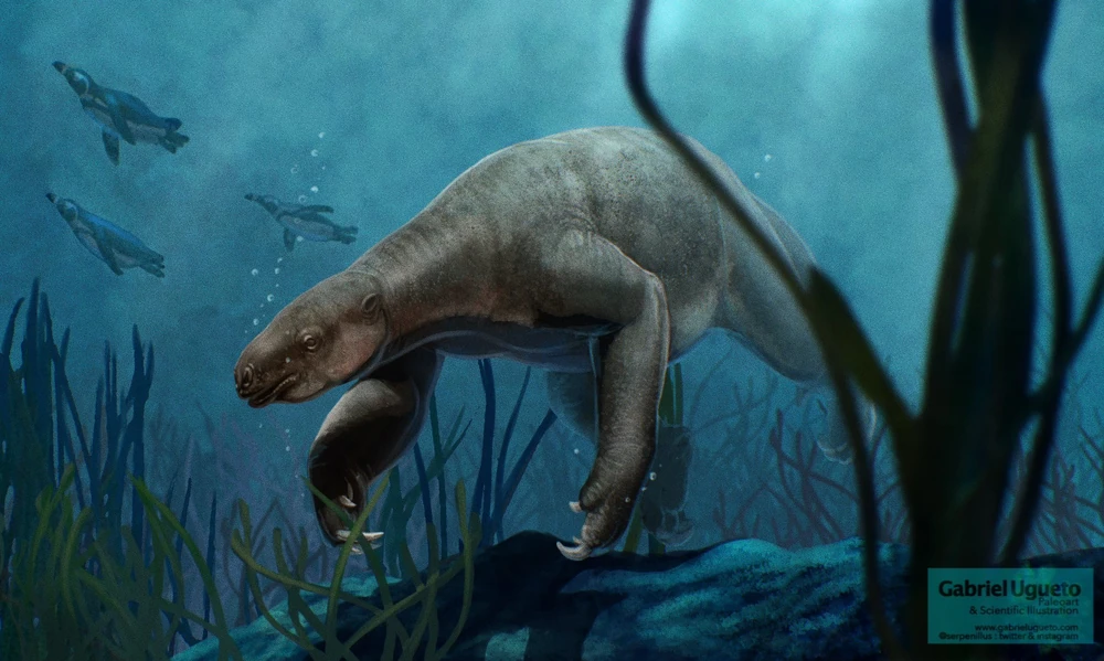 Реконструкция Габриэля Угуэто