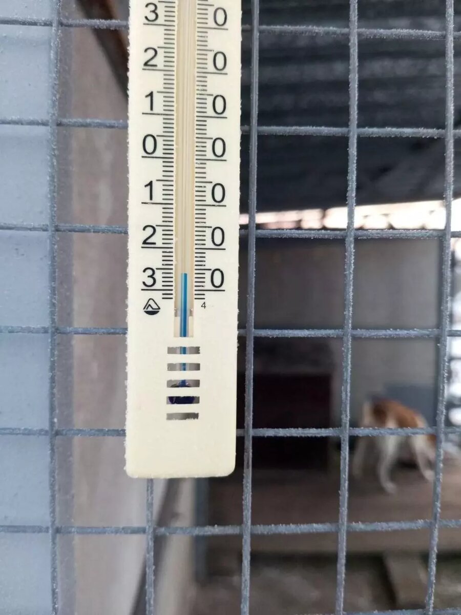     Автор: t.me/sulinnews