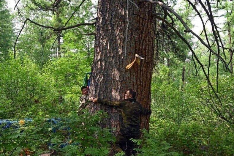    Фото: t.me/natureoftransbaikalia