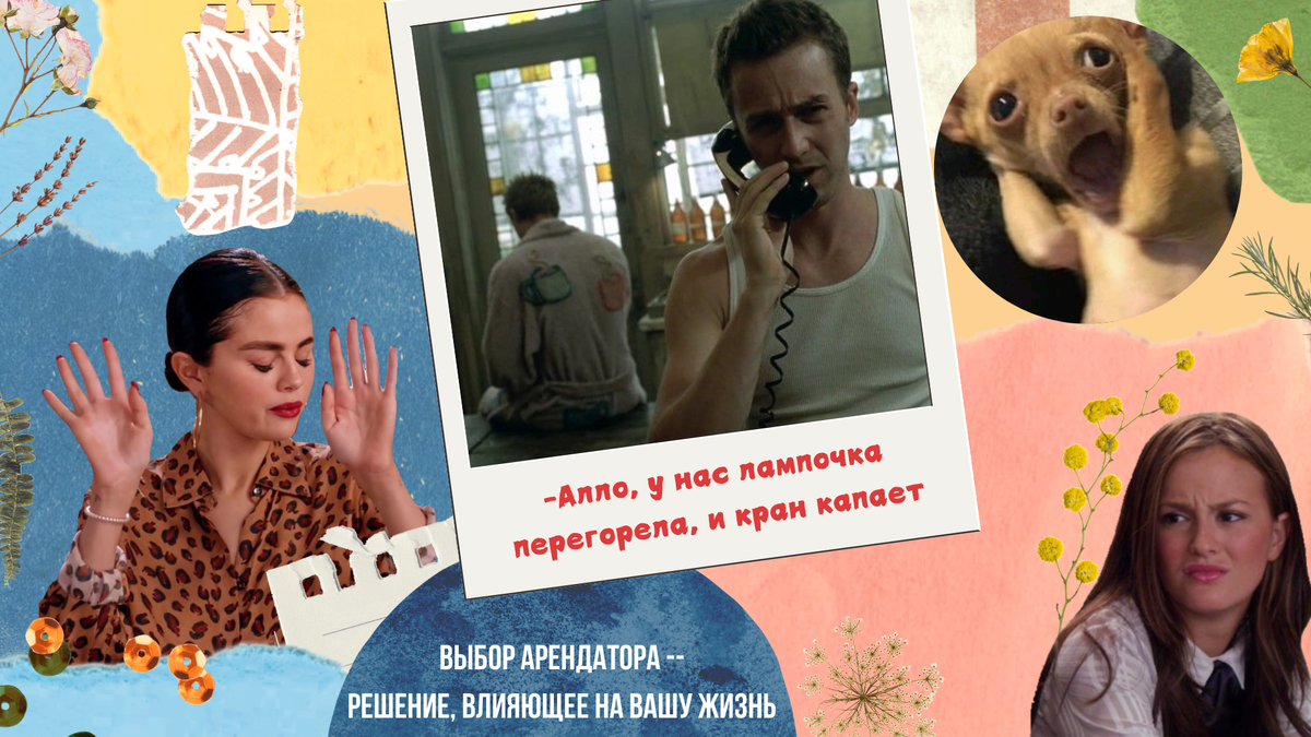 Когда проверил рейтинг в Яндекс Go, соцсети, справки и понял, что проще продать квартиру или сдавать её пустой