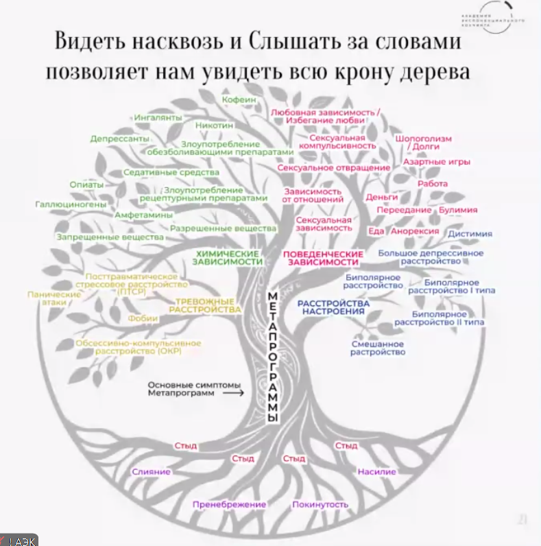 "Древо Жизни" - визуализация проявления нейронный путей (т.н. метапрограмм) от Михаила Саидова - руководителя 
Академии экспоненциального коучинга *АЭК)