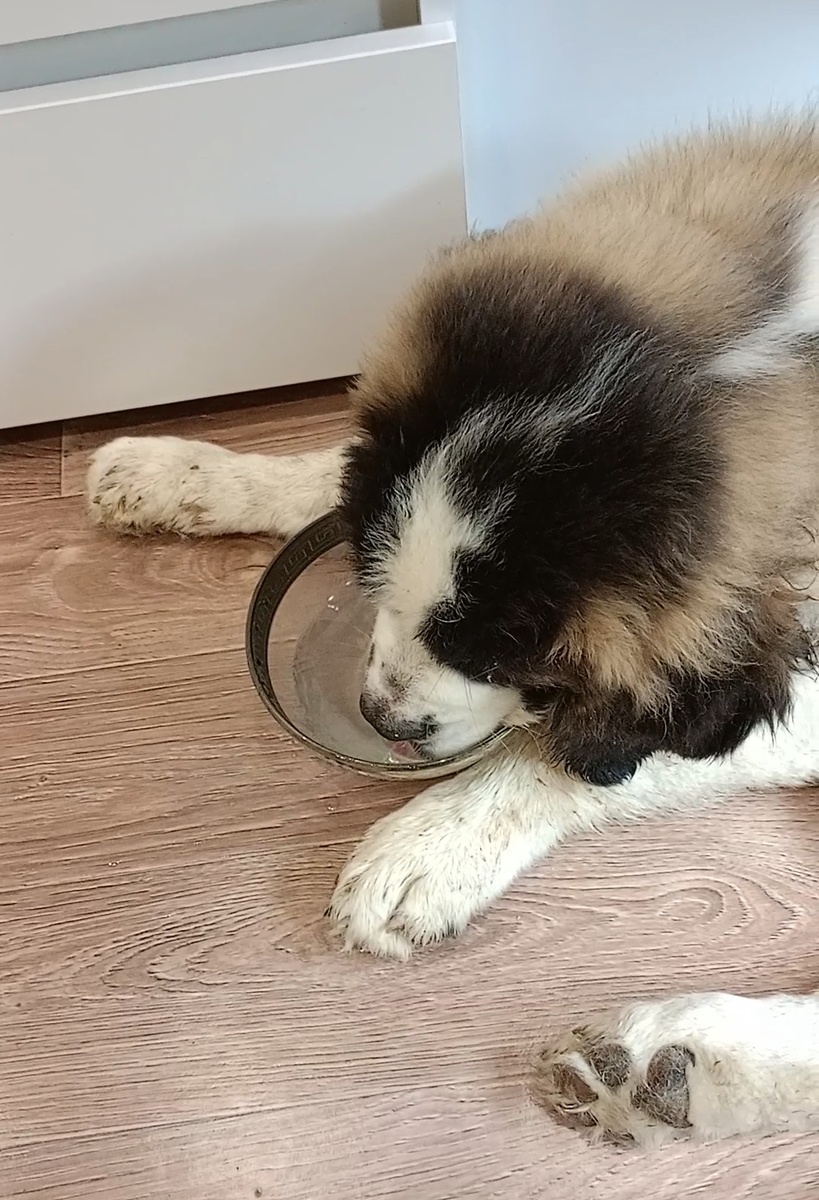 Ура, она попила!!! 