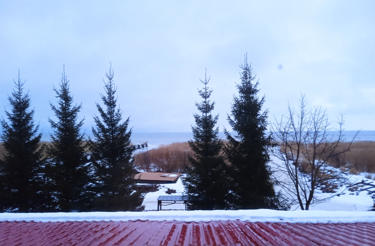 Вид из окна. 