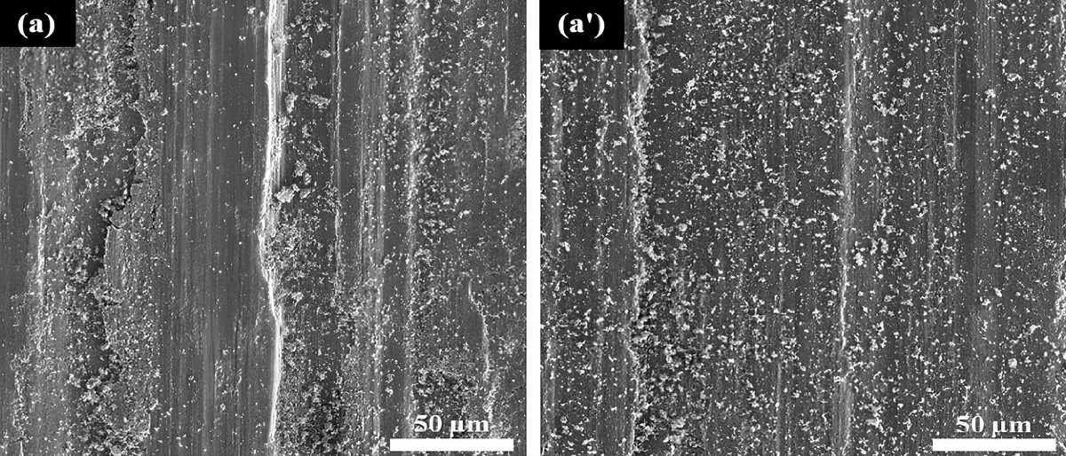 Микроструктура сплава до и после циклической штамповки в закрытых штампах. Источник: Majid Naseri et al. / Colloids and Surfaces A: Physicochemical and Engineering Aspects, 2025
