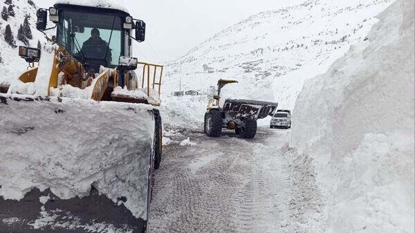    © Foto / Пресс-служба компании IRS