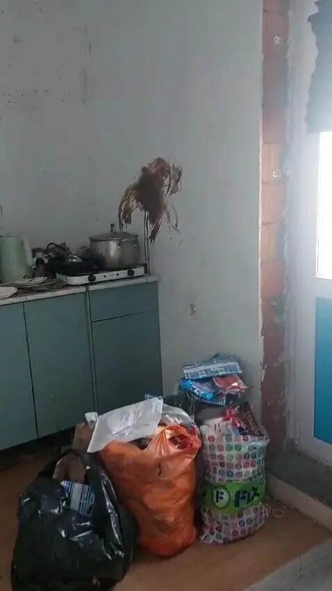    Фото: прокуратура Ленобласти