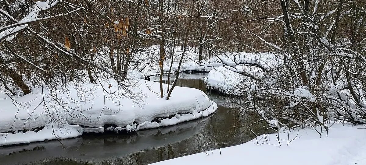 Река Чурилиха, парк Кузьминки, Москва 