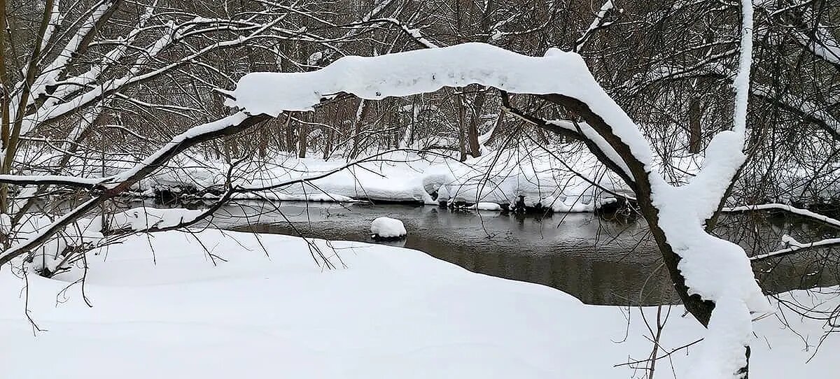 Река Чурилиха, парк Кузьминки, Москва 