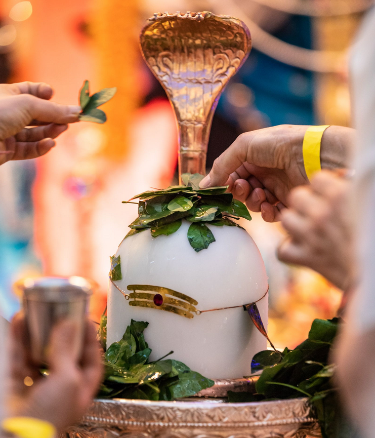 Предложение листьев Бильвы