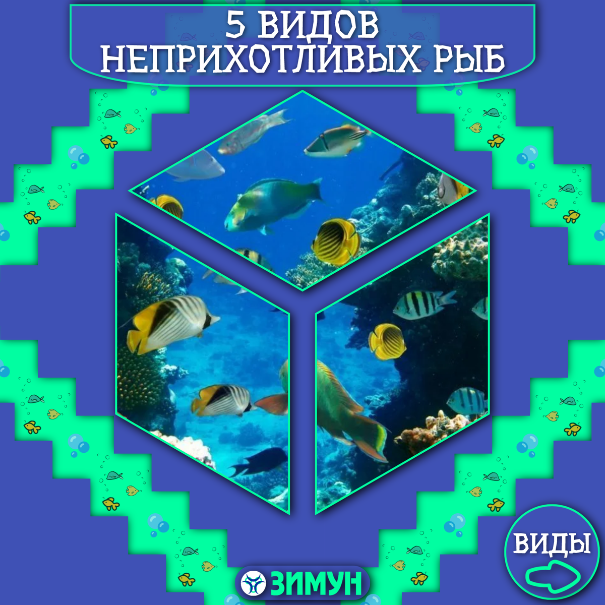 Заставка с  рыбками на фоне