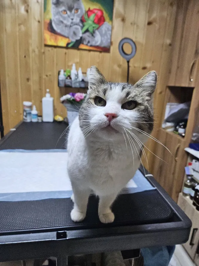 Фото из открытого источника. 