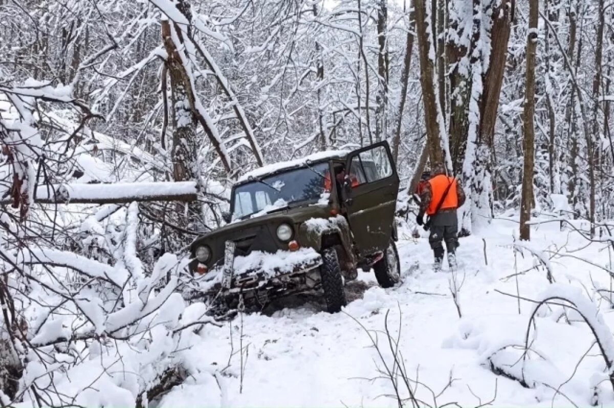    Тулякам представили сроки охоты на пернатую дичь