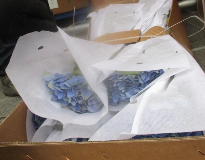 Фото: Уральское межрегиональное управление Россельхознадзора