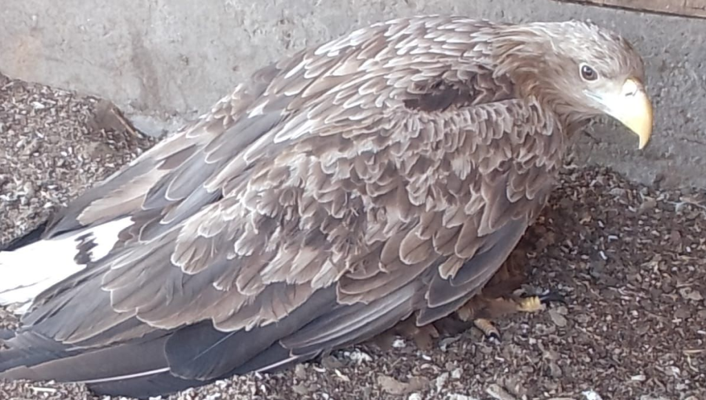    Фото: Росприроднадзор