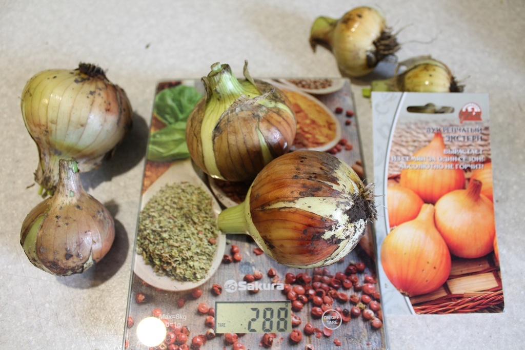  Лук Экстерн