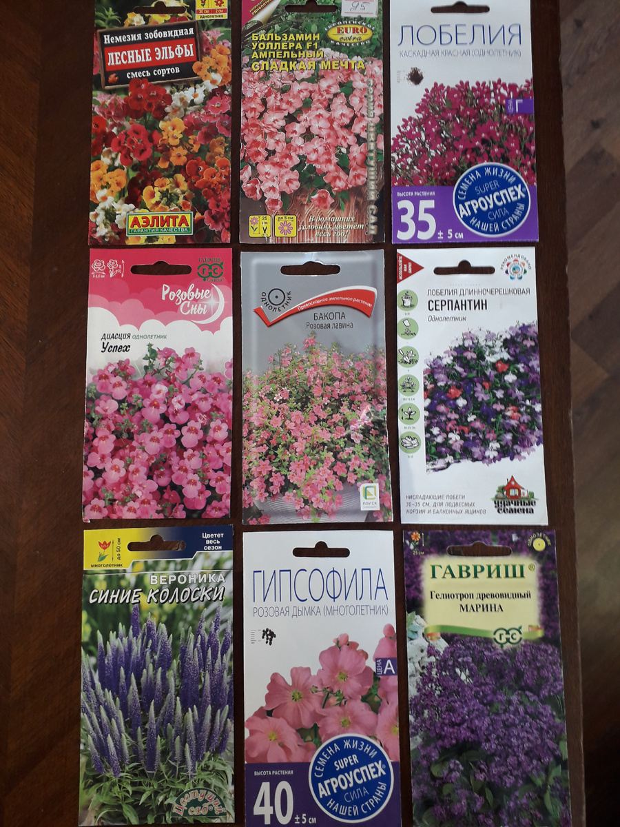 Новые семена на весну 2025г.