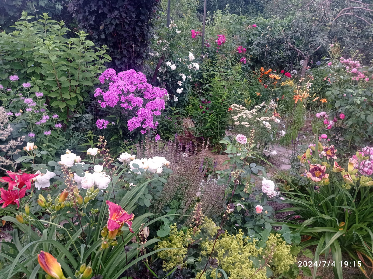 дальний цветник