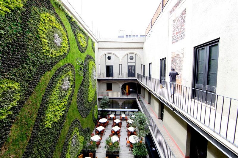 Вертикальный сад на стене ресторана «Пандорис» в Мехико (Мексика, Северная Америка)