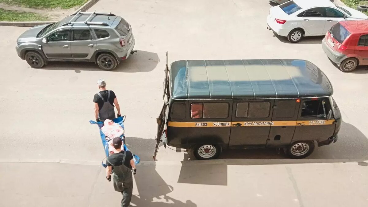     Источник: 1MI