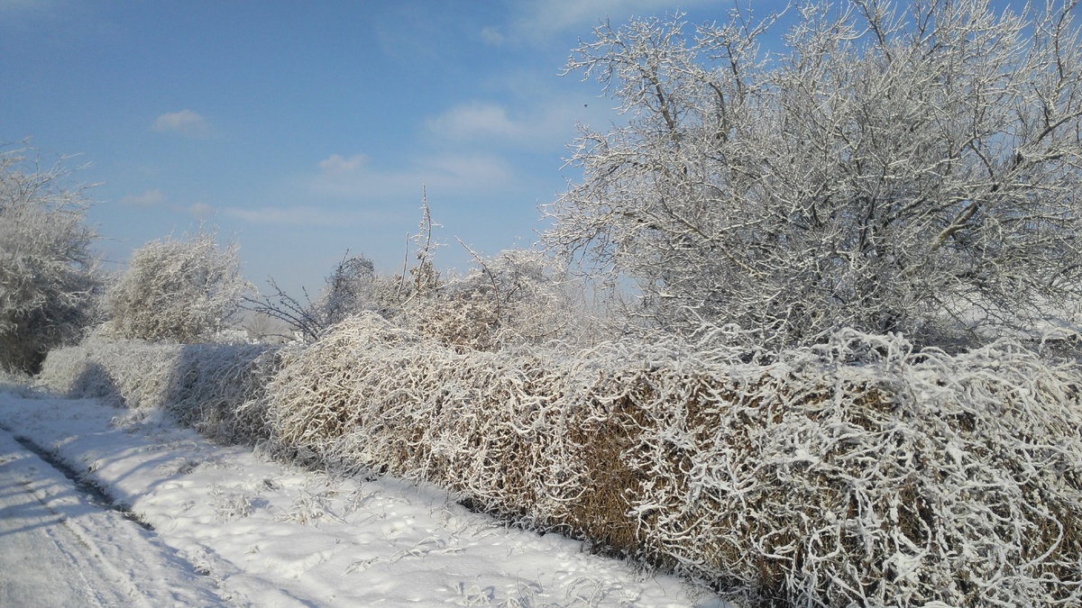 Зима порадовала нас в феврале снегом и морозами, а также своей потрясающей красотой.