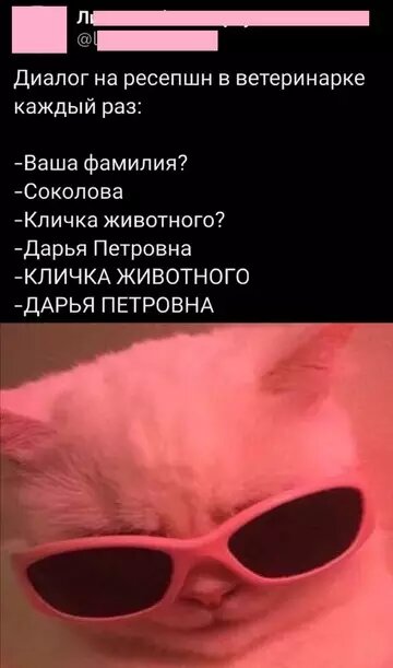 Свежие приколы