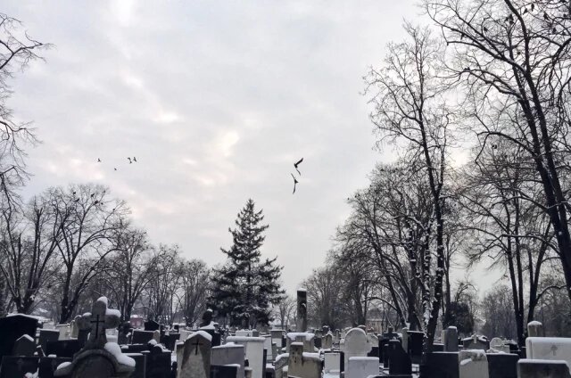    Что такое паспорт захоронения?