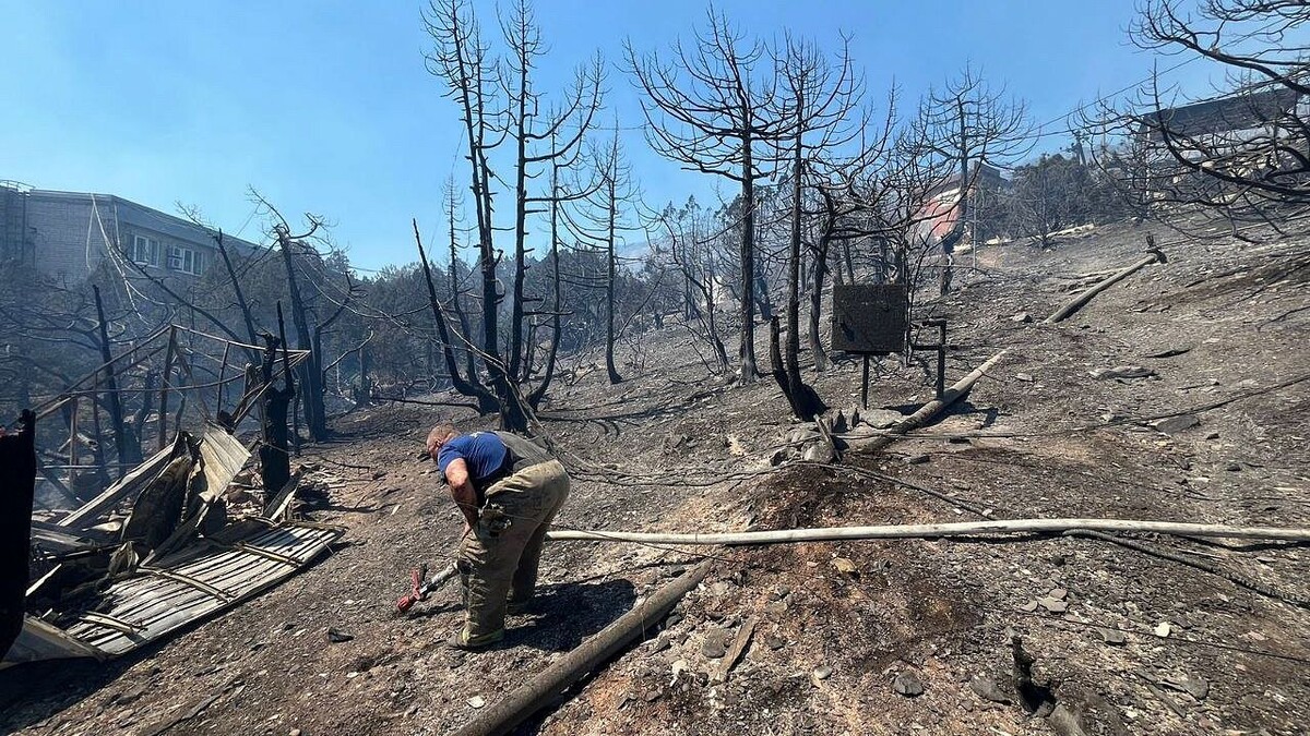    Фото: t.me/alekseioderov