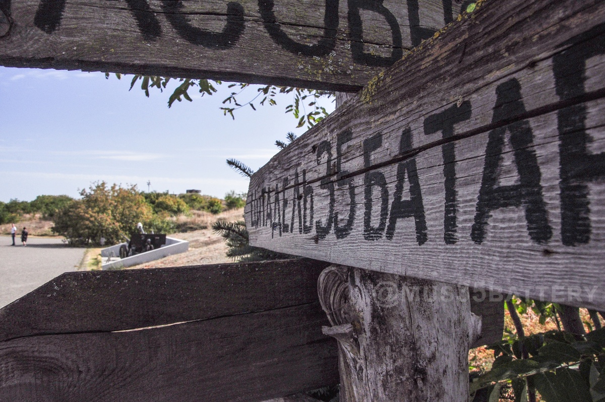 Источник: @mus35battery