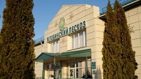    © Sputnik / Татьяна Федоренко