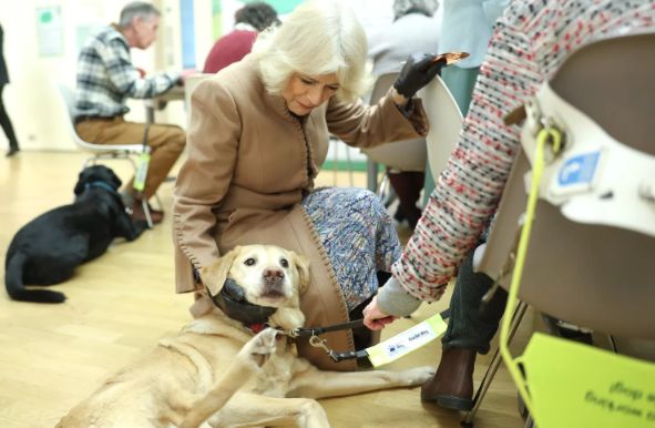 Королева Камилла только что решилась на удочерение!? Пополнение в семьей Чарльза и Камиллы
