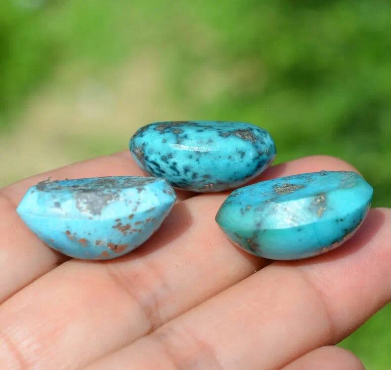 Фото из интернета 