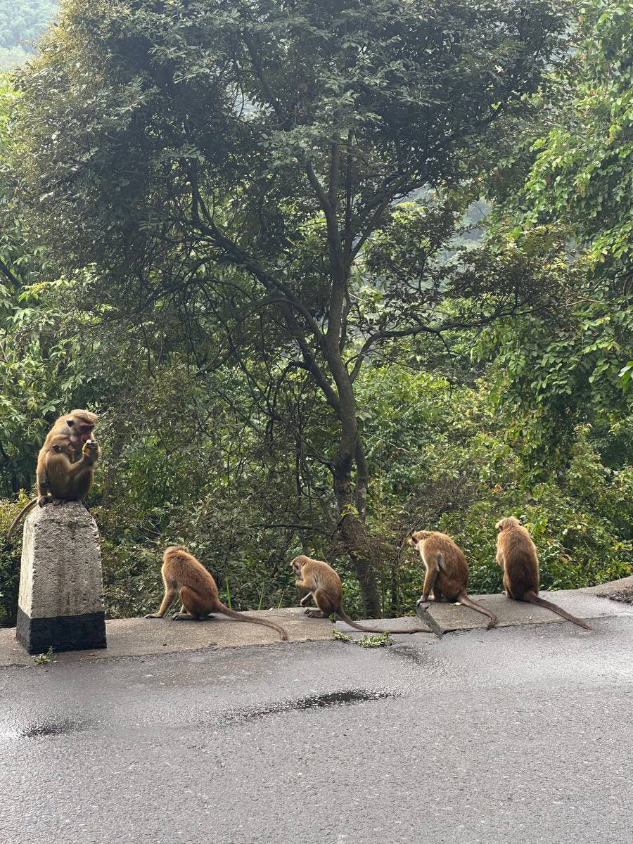 Фото предоставлено турагентом Алиной Санковой
