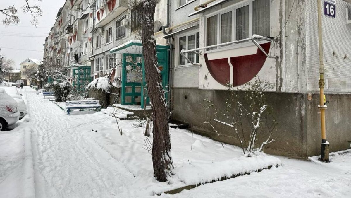 Фото: прокуратура Краснодарского края