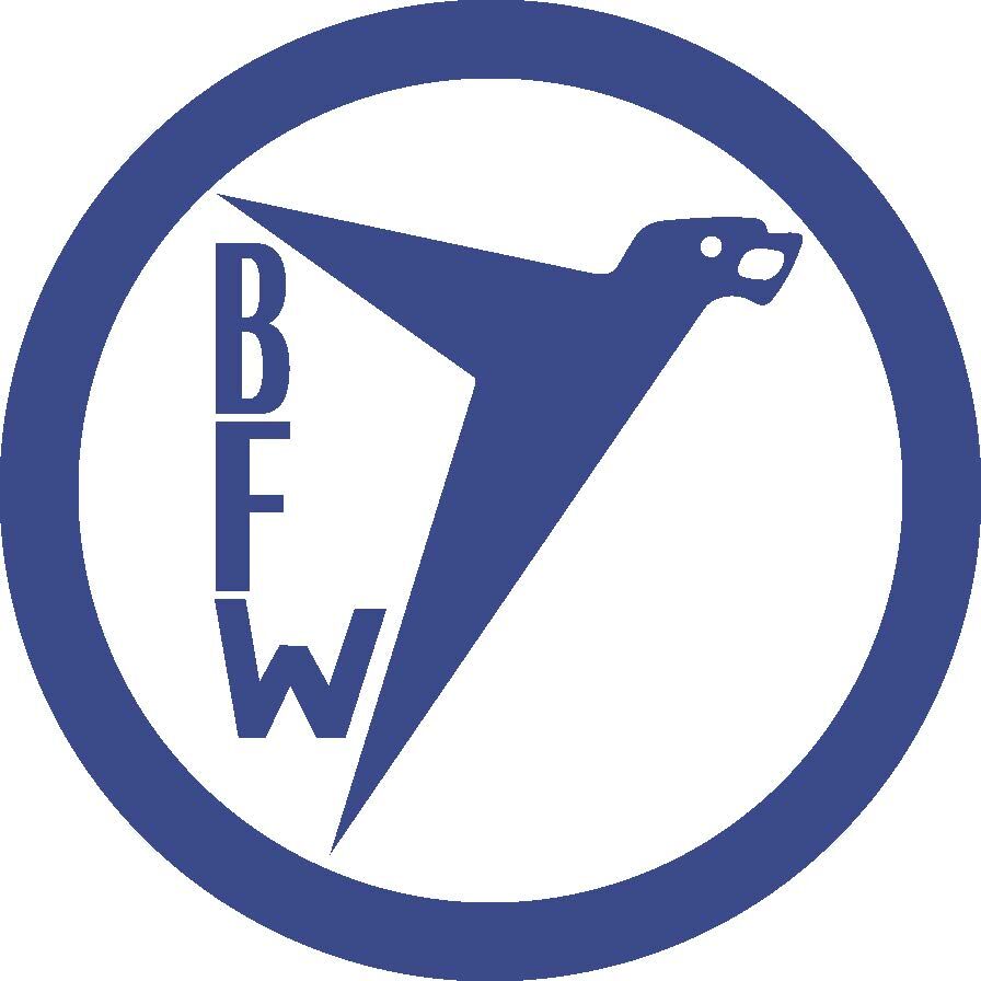 Логотип Bayerische Flugzeugwerke