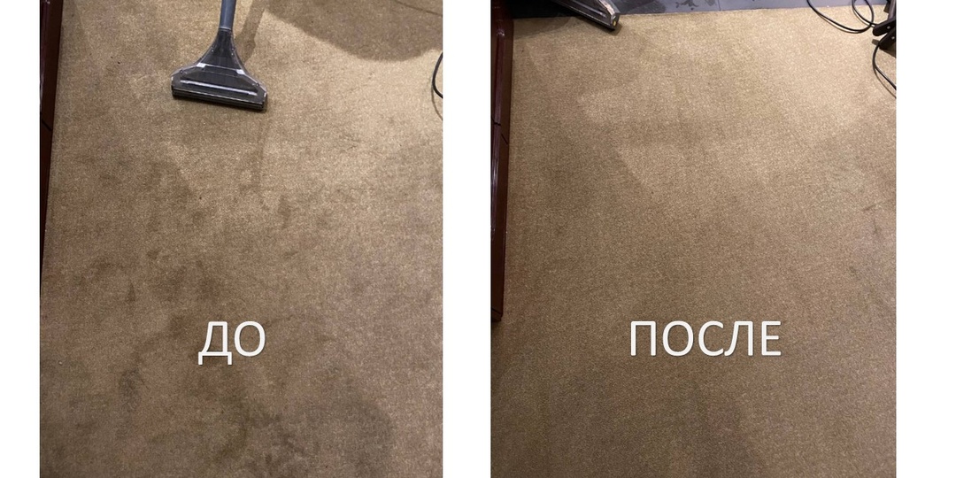 От сухого к мокрому: 3-и способа поддерживать идеальную чистоту коврового покрытия