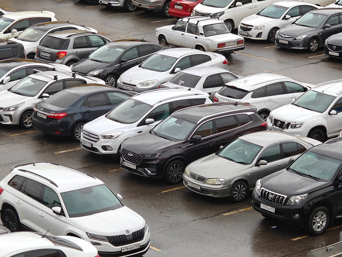    Фото: Юрий Серебренников/BFM Кубань