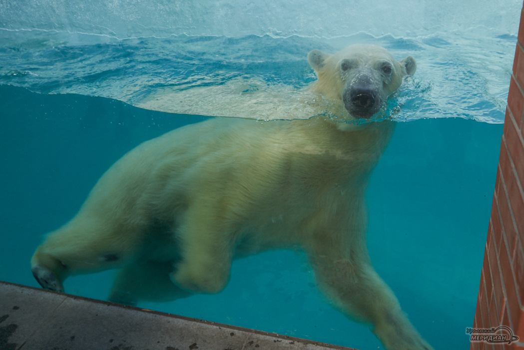    Фото: Лидия Аникина © ИА "Уральский меридиан"